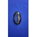 CARBON FIBER SHIFTER BEZEL FITS 03-05 NEON