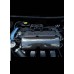 CARBON FIBER INJECTOR COVER FITS 03-05 NEON SRT-4 CARBON FIBER INJECTOR COVER FITS 03-05 NEON SRT-4